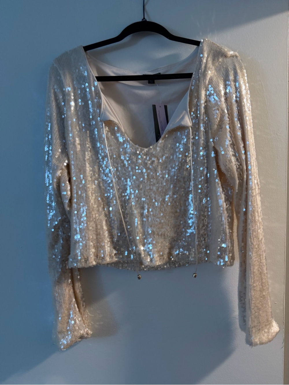 wild fable Cream Sequin Scoop-Neck Long Sleeve Crop Top